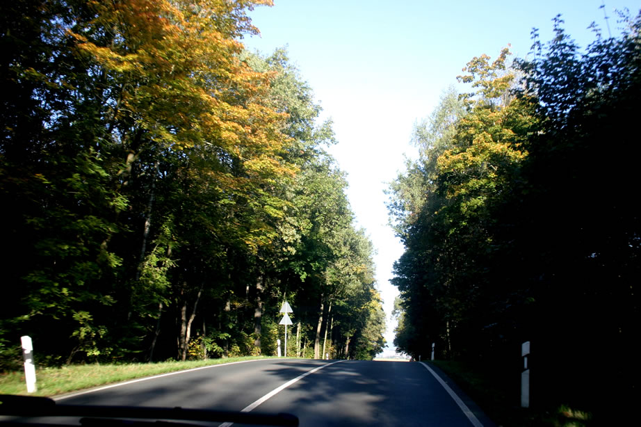 Reichenbach 2010