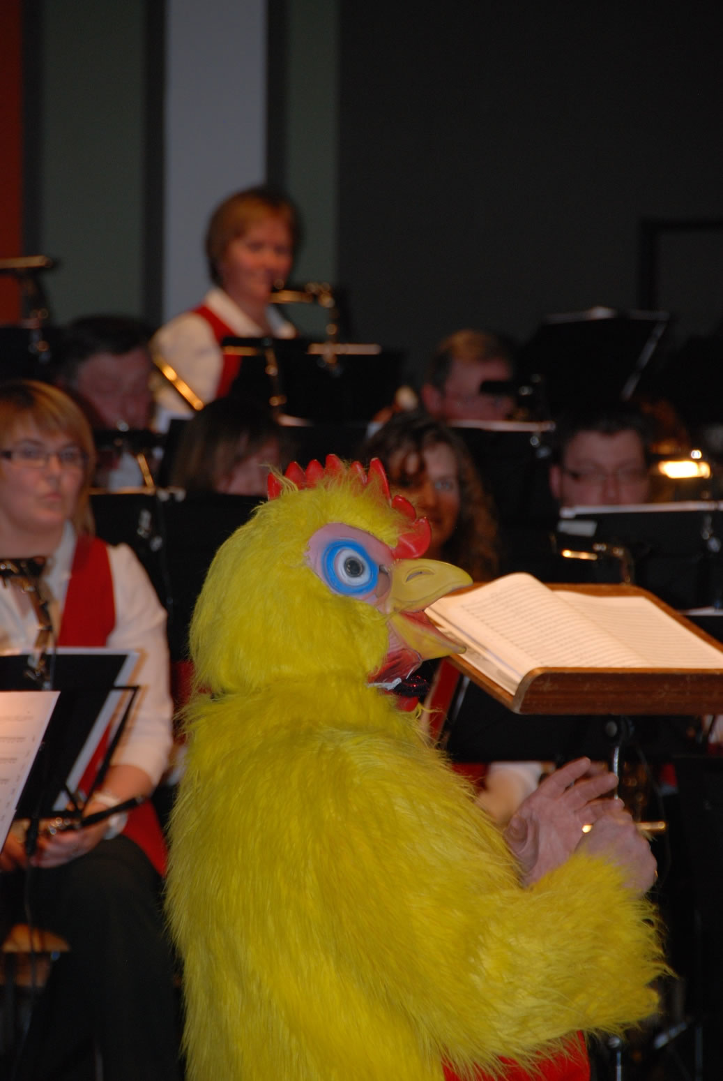 concert 2012