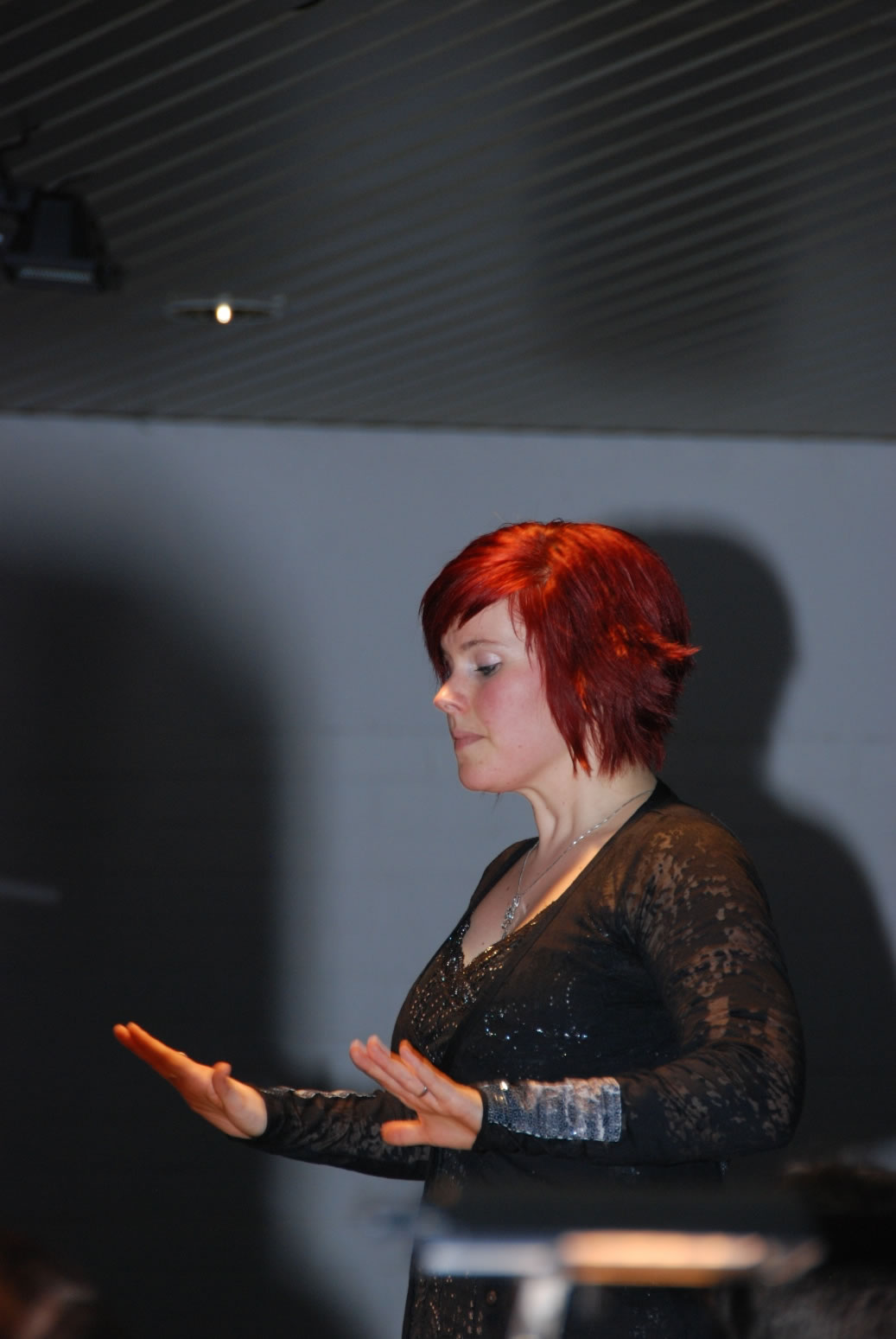 concert 2012