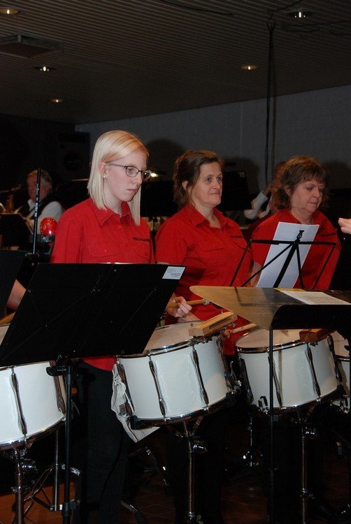 concert_17_11.jpg