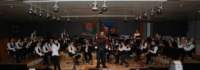 concert_17_29_small.jpg