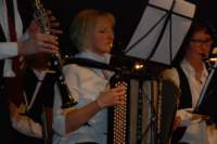 concert_17_34_small.jpg