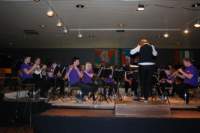 concert_17_41_small.jpg