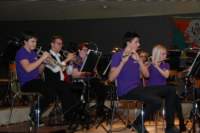 concert_17_60_small.jpg