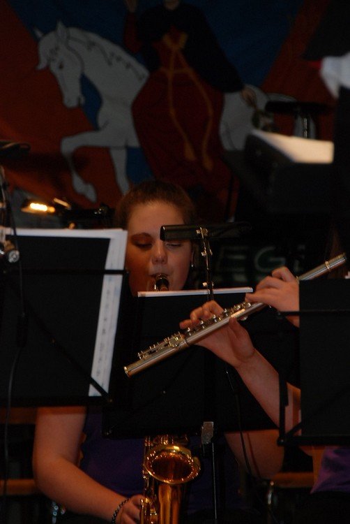 concert_17_65.jpg