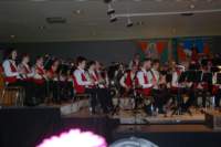 concert_17_80_small.jpg